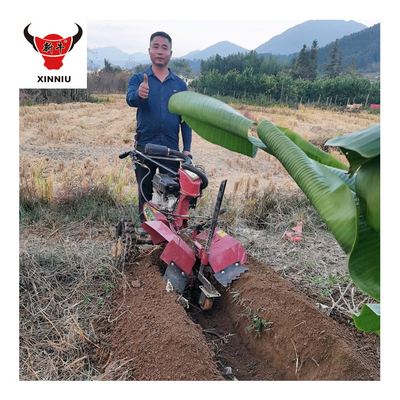 Venda de Mini-Tiller Multipurpose para Horticultores com Transmissão