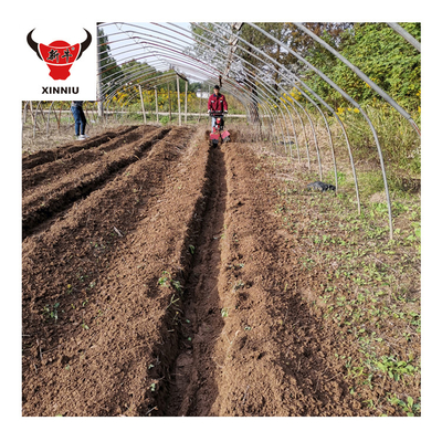 Venda de Mini-Tiller Multipurpose para Horticultores com Transmissão