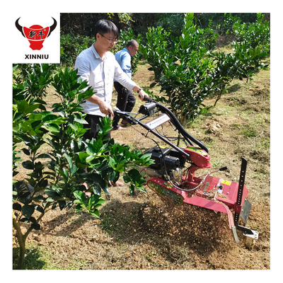 Venda de Mini-Tiller Multipurpose para Horticultores com Transmissão