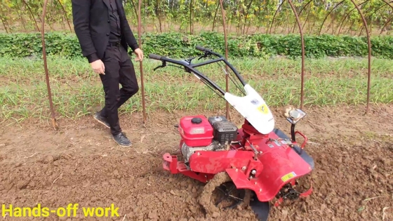 Máquina de lavar terra de 65 kg Modelo mais recente para o cultivo de solo pequeno a 4 km / h