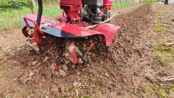 Máquina de lavar terra de 65 kg Modelo mais recente para o cultivo de solo pequeno a 4 km / h