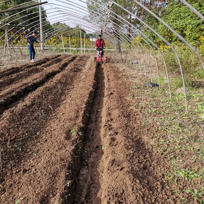 Cultivador de gasolina profissional para largura de trabalho de 70 cm e velocidade de trabalho de 4 km/h