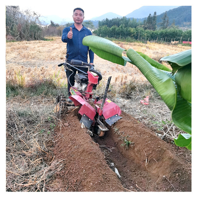 Tiller de micro-potência de gasolina para lavoura de jardim Largura superior a 10cm 145*62*85cm Tamanho