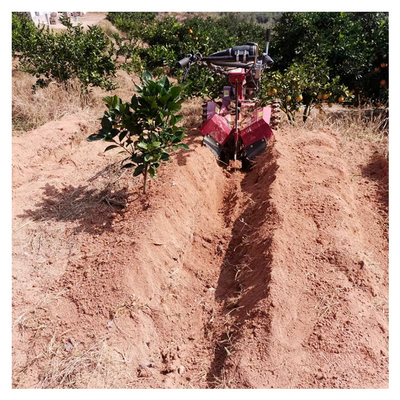 Tiller de micro-potência de gasolina para lavoura de jardim Largura superior a 10cm 145*62*85cm Tamanho