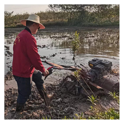 Farms 75 KG Máquina de limpeza de minúsculas com tração nas quatro rodas de ligação directa