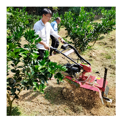 Máquina de limpeza de jardim para jardim