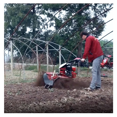 Mini Power Tiller Gear Cultivator Econômico 10-40cm Largura de remoção e vazamento de gasolina