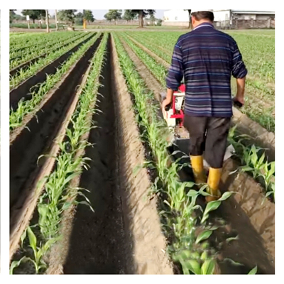 Máquina de cultivo diesel de 150 kg de capacidade para projetos de paisagismo doméstico