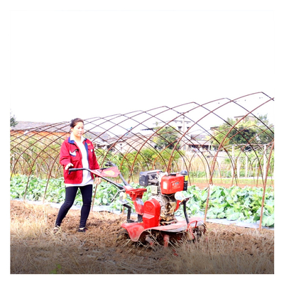 Equipamento de máquinas agrícolas profissionais Mini Tiller de potência de 4 kW para agricultura