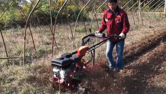 Cultivador compacto econômico para jardim e capacidade de carga de 85 kg