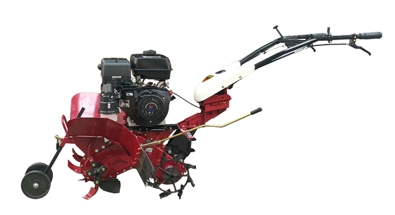 Cultivo econômico 186F com motor a diesel e tração nas quatro rodas para agricultura multifuncional