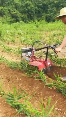 5HP/6HP/7HP Mini Cultivador de Tiller de Vinha para Requisitos de Arrojamento de Hortaliças