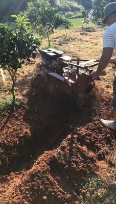 5HP/6HP/7HP Mini Cultivador de Tiller de Vinha para Requisitos de Arrojamento de Hortaliças