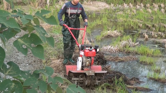 Cultivo agrícola avançado com tração nas quatro rodas com motor a gasolina para equipamentos agrícolas