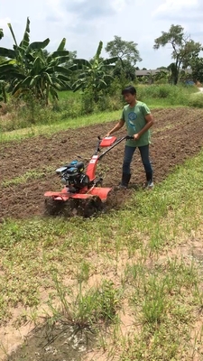 45-85 cm Largura de trabalho Máquina de erva-cidreira de cebola de tração nas quatro rodas para erva-cidreira de precisão