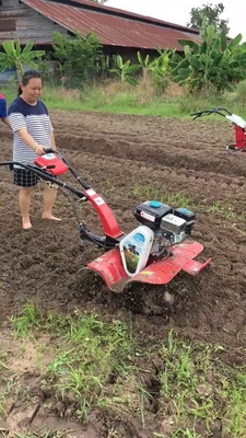 Cultivador a gasolina de 4 kW para campos de arroz e terras secas