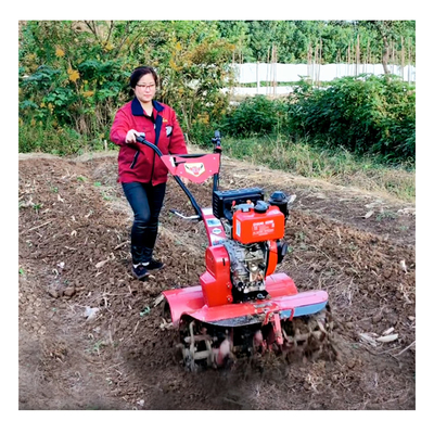 Tração nas quatro rodas e arranque fácil Tiller rotativo para Mini Power