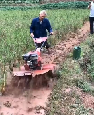 Tração nas quatro rodas e arranque fácil Tiller rotativo para Mini Power