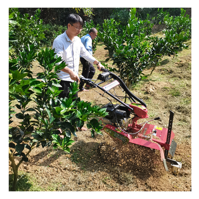 Nível de segurança elevado Limpeza de pomares gasolina econômica 3 pontos mini caminhador trencher trencher