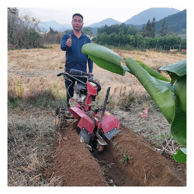 Nível de segurança elevado Limpeza de pomares gasolina econômica 3 pontos mini caminhador trencher trencher