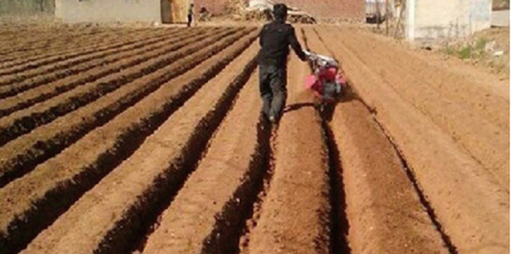 Chassi de tração nas quatro rodas, implementos de plantação de ervas daninhas para o melhor cultivo do solo