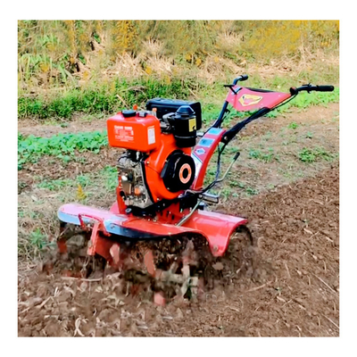 Máquina de diesel acessível Mini Power Tiller para erva daninha em casa Características opcionais