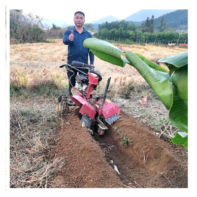 Gestão da estrutura de engrenagens Mini Power Tiller com largura de trabalho de 70 cm e motor a gasolina