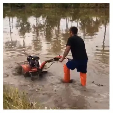 Alto nível de segurança cultivador rotativo Estrutura de engrenagem de gasolina Mini Power Tiller 7hp para jardim