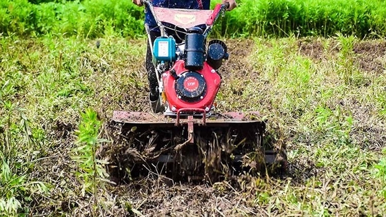 Equipamento agrícola polivalente de tração nas quatro rodas 173F