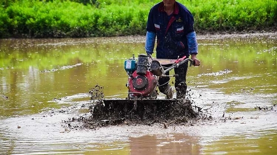 Equipamento agrícola polivalente de tração nas quatro rodas 173F