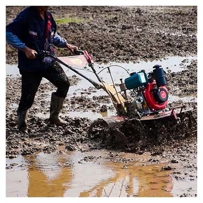 Obtenha mais em menos tempo com o nosso Tiller rotativo 170F/173F 4WD Mini Power Tiller