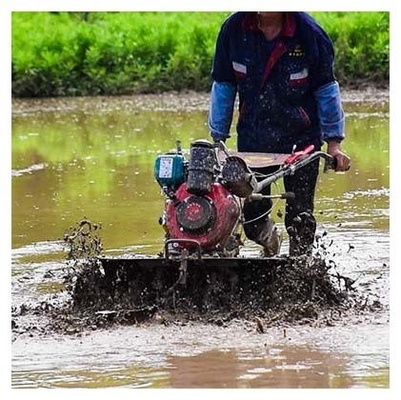 Obtenha mais em menos tempo com o nosso Tiller rotativo 170F/173F 4WD Mini Power Tiller