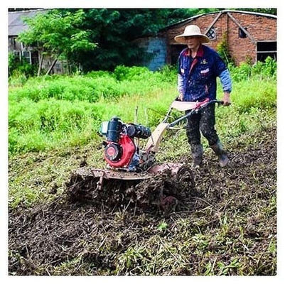 Nível de segurança elevado 4KW 173F Motor diesel Mini Tiller A melhor escolha para tarefas de desmatamento