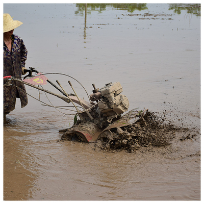 Alto Nível de Segurança 4WD Paddy Field Tilling Light 170F Cultivator Primeira escolha para agricultores