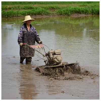 Alto Nível de Segurança 4WD Paddy Field Tilling Light 170F Cultivator Primeira escolha para agricultores