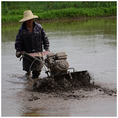 Alto Nível de Segurança 4WD Paddy Field Tilling Light 170F Cultivator Primeira escolha para agricultores