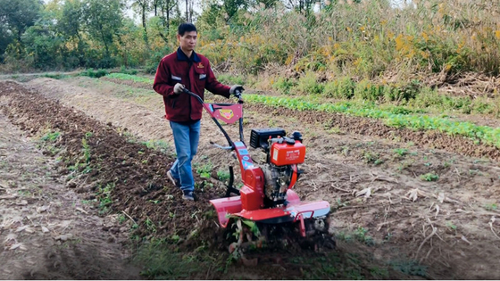 Cultivador rotativo de 155*75*105cm para o cultivo económico e de poupança de tempo do arroz