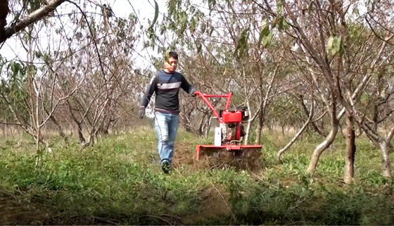 Cultivador rotativo de 155*75*105cm para o cultivo económico e de poupança de tempo do arroz