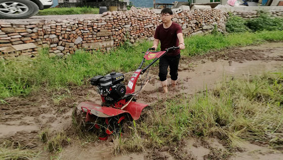 Cultivador rotativo de 155*75*105cm para o cultivo económico e de poupança de tempo do arroz