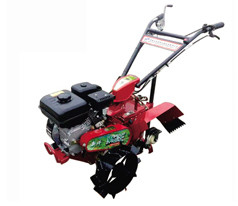 Mini-cultivador automático de jardim de frutos para o cultivo de jardins de frutos