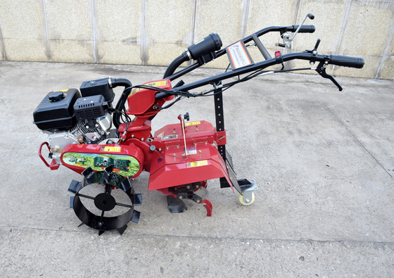 Mini-cultivador automático de jardim de frutos para o cultivo de jardins de frutos