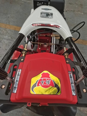 Máquina de gerenciamento de fazenda de gasolina 170F para produção de cash crops