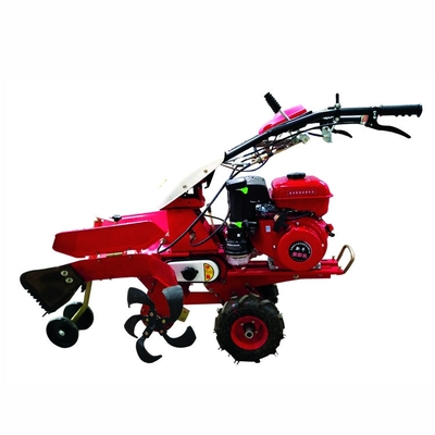 Máquina de gerenciamento de fazenda de gasolina 170F para produção de cash crops