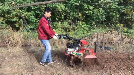 70cm Largura de Trabalho Compacto 177F Motor de gasolina Acionamento em Quatro Rodas Mini Tiller Cultivador