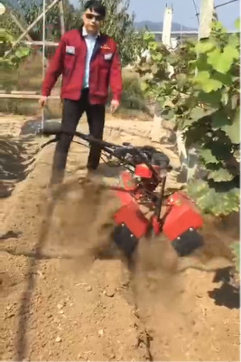 70 KG Desmatamento de Ervas daninhas Fertilizantes de Intertilagem Tiller de Reboque com motor de gasolina