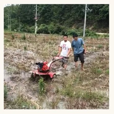 Agricultor de combustível a gasolina/diesel mini-moedor de ervas daninhas com largura de trabalho de 45-85 cm