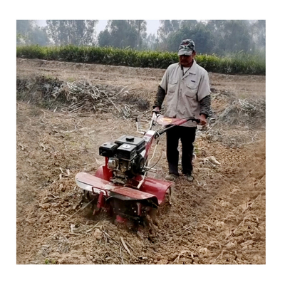 Mini Tiller de gasolina de largura de trabalho ajustável para cultivo versátil