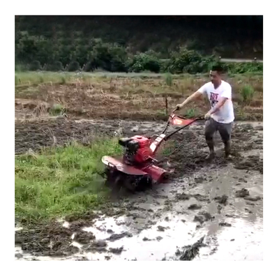 160*62*108cm Trator e Tiller Rotativo para as Vossas Necessidades Agrícolas