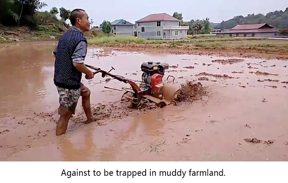 Máquina de combustível de combustível de 160*62*108cm multifuncional Mini Power Rotary Tiller para agricultura