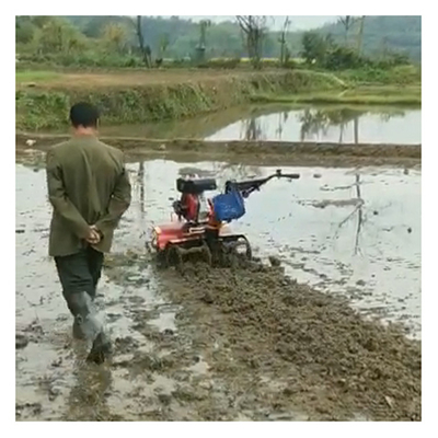 Máquina de gasolina de 170F, de tração nas quatro rodas, cultivador de quinta para arroz e terras secas 65 kg